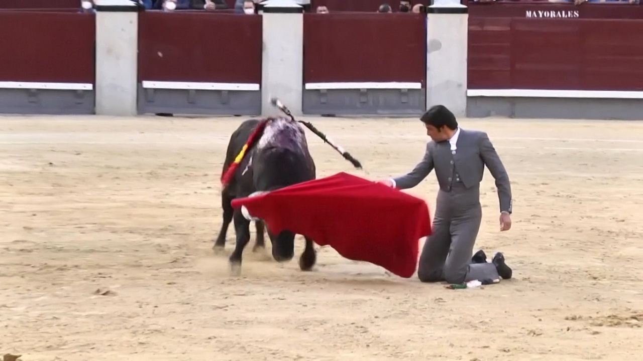 স্পেনে মহামারির মধ্যেই শুরু হলো ঐতিহ্যবাহী ‘বুল ফাইট’ স্পেনে মহামারির মধ্যেই শুরু হলো ঐতিহ্যবাহী 'বুল ফাইট'