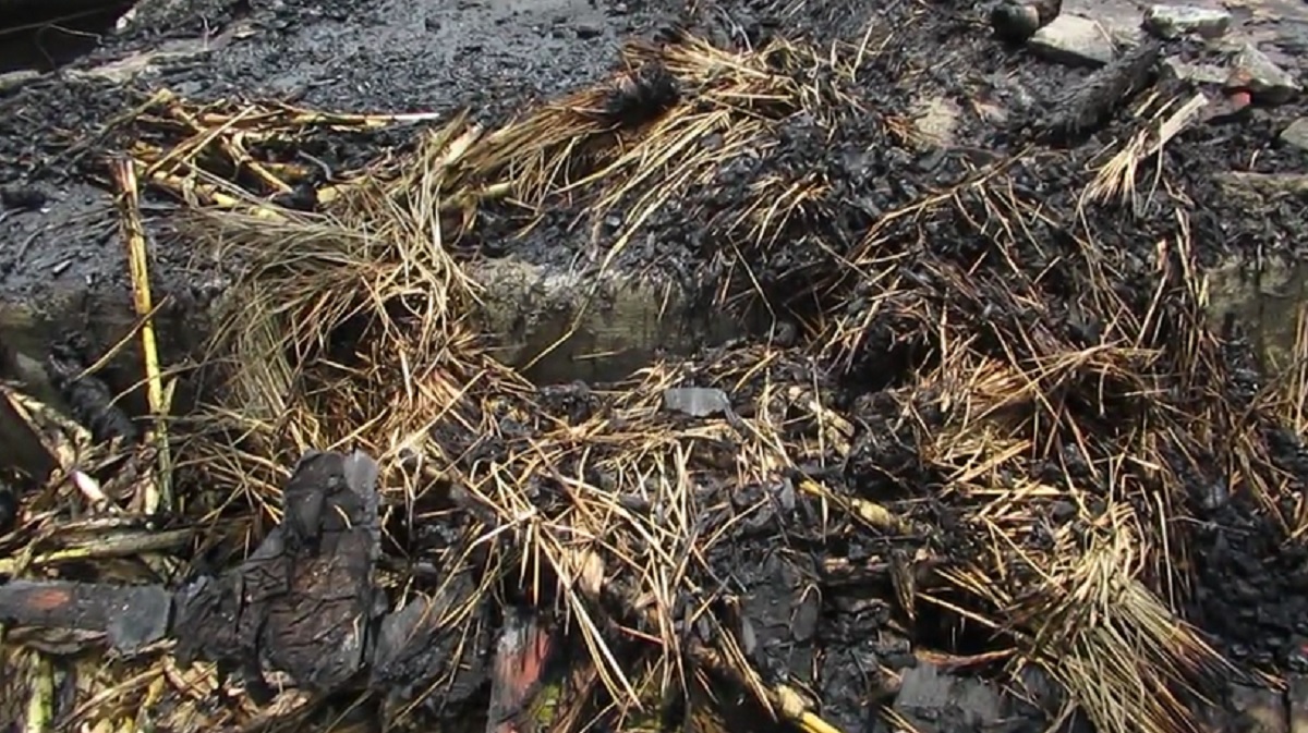 ঝিনাইদহে আগুনে পুড়ে ৭ মাসের শিশুর মৃত্যু, ৩টি ঘর ভস্মীভূত