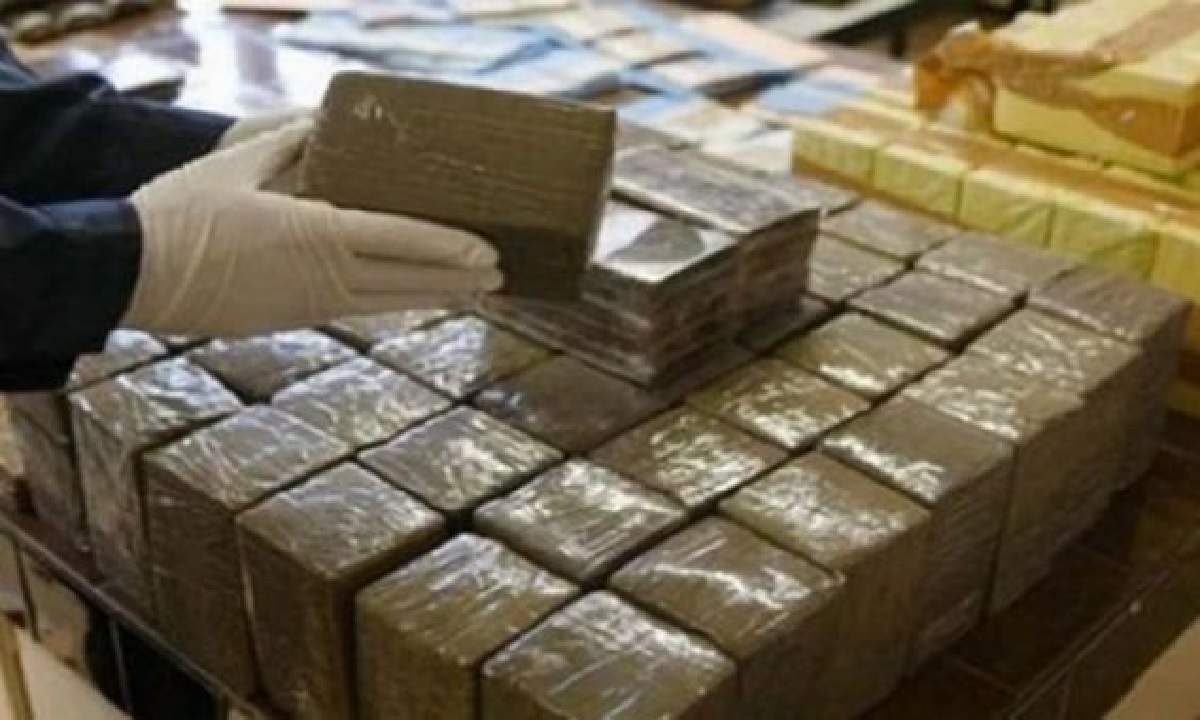 স্পেনে জব্দ ১৫ টন হাশিশ