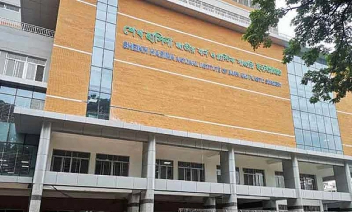 আশুলিয়ায় গ্যাস লিকেজ থেকে বিস্ফোরণ, দগ্ধ ৬