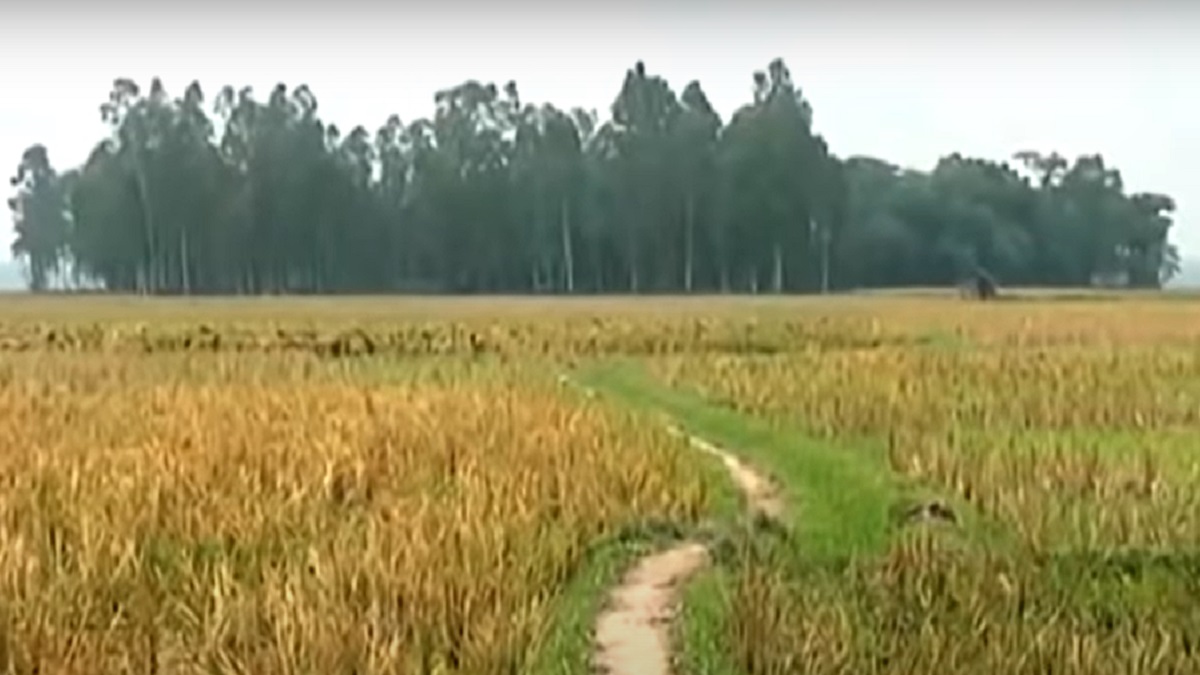 ডাকাতের ভয়ে চল্লিশ বছর ধরে জনশূন্য বগুড়ার যে গ্রাম