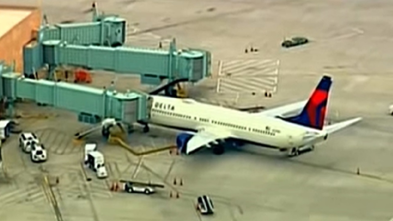 উড়োজাহাজের গতিপথ পাল্টাতে বাধ্য হলেন পাইলট উড়োজাহাজের গতিপথ পাল্টাতে বাধ্য হলেন পাইলট