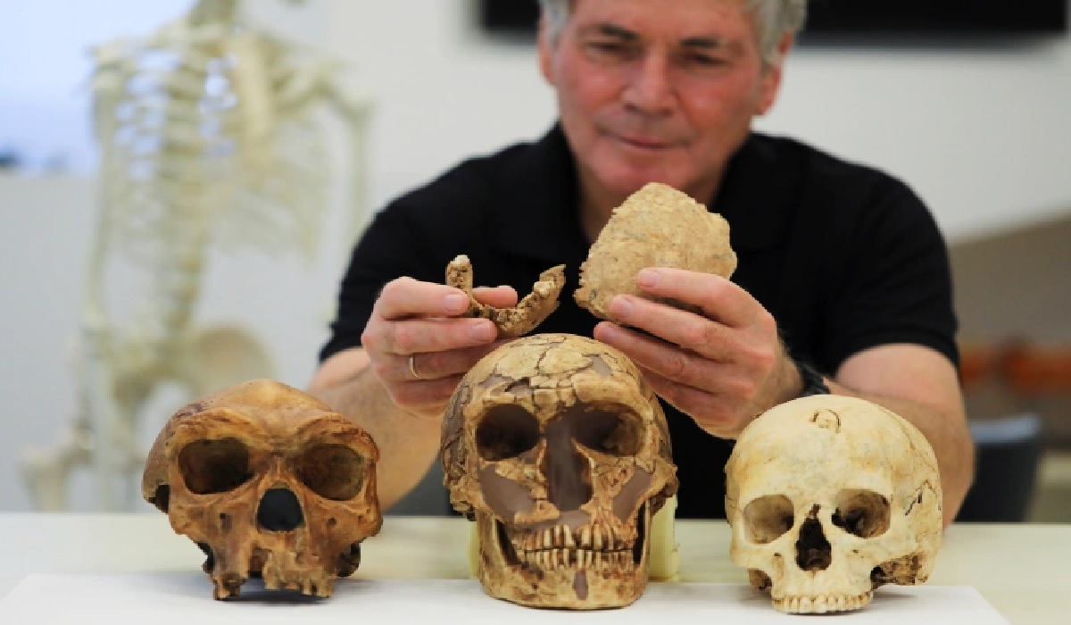 সম্পূর্ণ অজানা প্রজাতির মানুষের ফসিলের সন্ধান