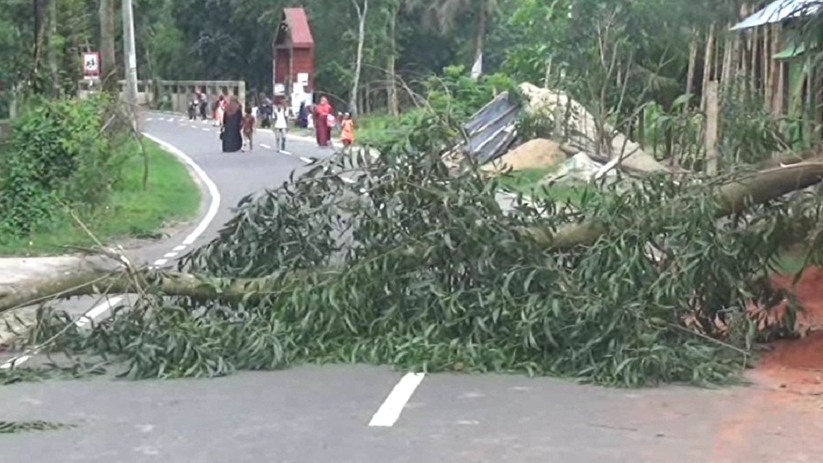 কোম্পানিগঞ্জে গাছ ফেলে রাস্তা অবরোধ, বিক্ষোভ মিছিল
