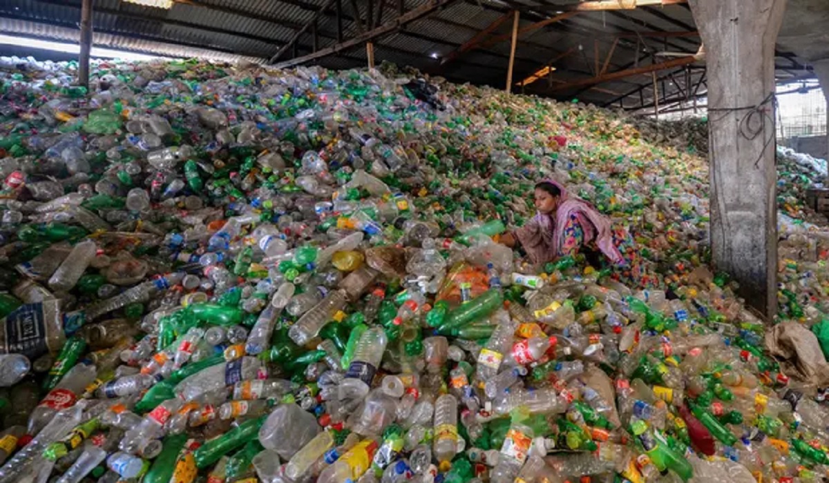 প্লাস্টিক বর্জ্য থেকে তৈরি হবে ভ্যানিলা