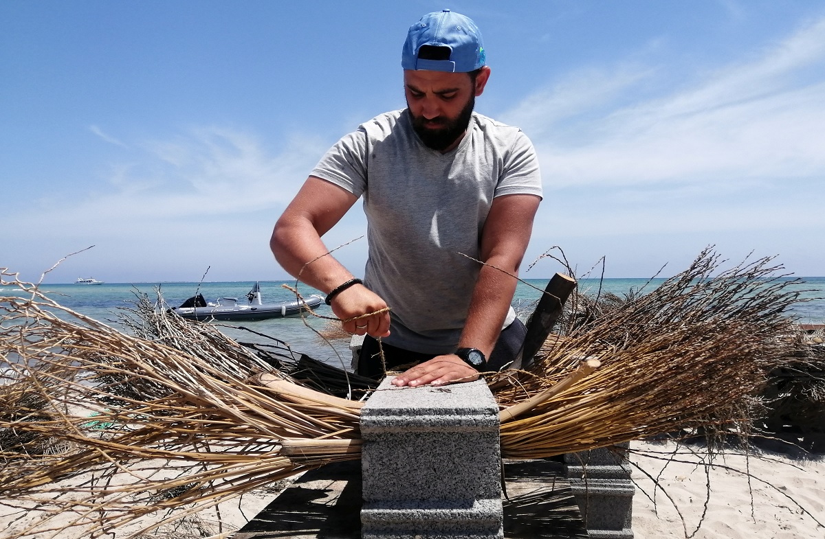 কৃত্রিম প্রবাল প্রাচীর তৈরী করছে তিউনিসিয়া
