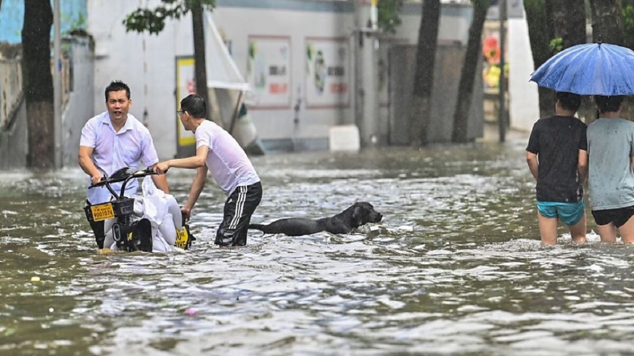 চীনের হেনান প্রদেশে বন্যায় নিহতের সংখ্যা বেড়ে দাঁড়িয়েছে ৬৩ জনে চীনের হেনান প্রদেশে বন্যায় নিহতের সংখ্যা বেড়ে দাঁড়িয়েছে ৬৩ জনে