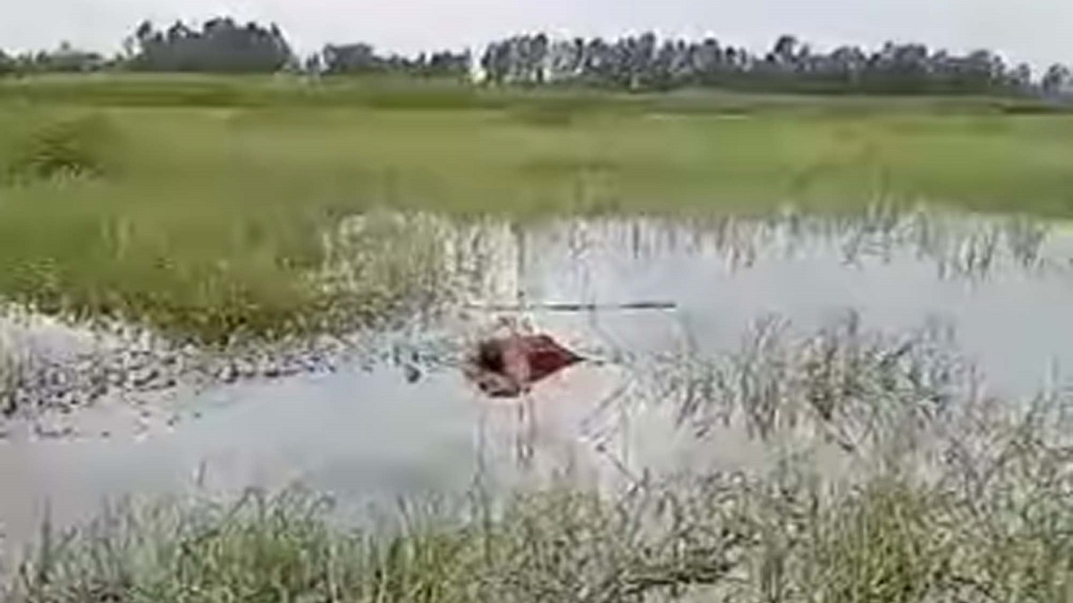 টাঙ্গাইলে ধানখেত থেকে অজ্ঞাত নারীর মরদেহ উদ্ধার