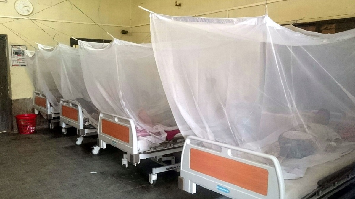 প্রতিদিনই বাড়ছে ডেঙ্গু রোগী, একদিনে আরও ১৭০ জন হাসপাতালে ভর্তি