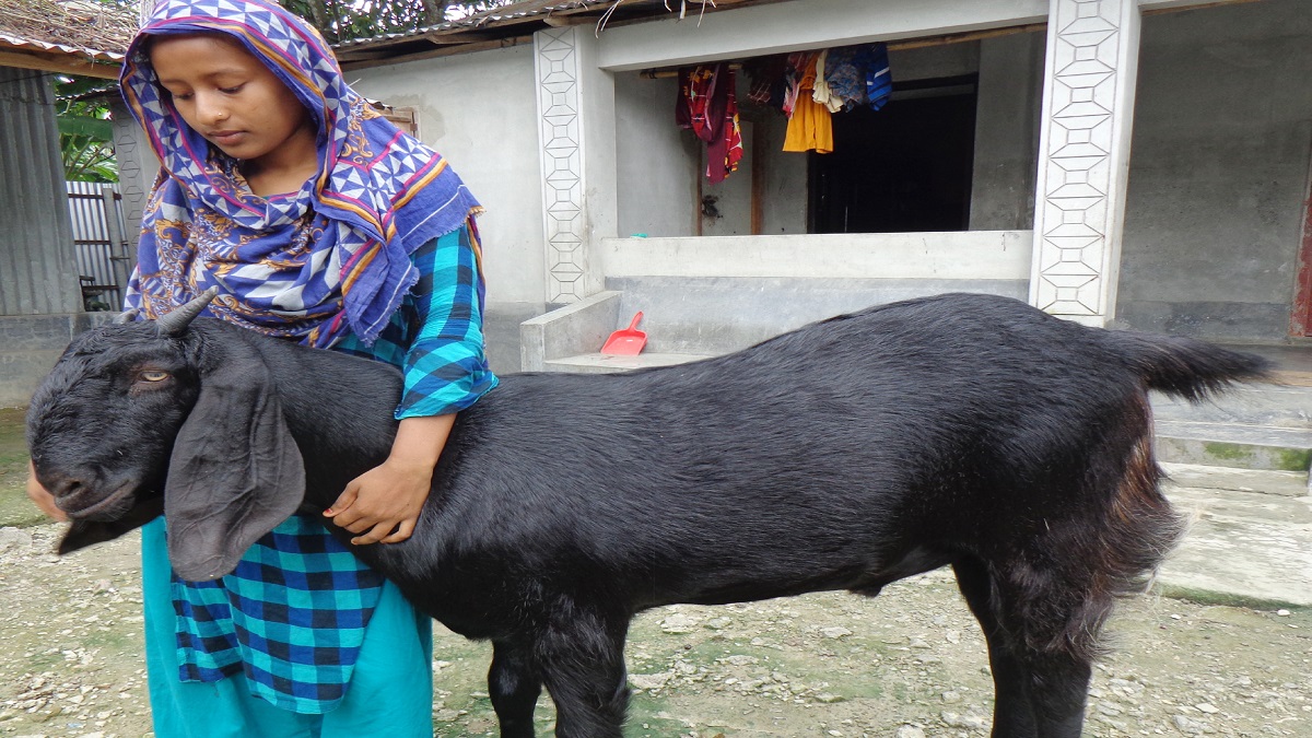 দুই মণের ‘সম্রাট’র দাম চাওয়া হচ্ছে ৮০ হাজার টাকা