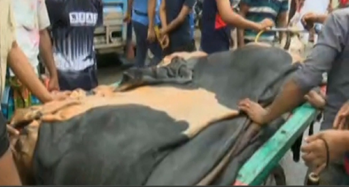 চামড়া নিয়ে নৈরাজ্য বন্ধে সরকারের হুঁশিয়ারি কাজে আসছে না