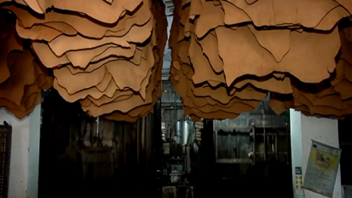 দৌরাত্ম্য ঠেকাতে এবার রফতানি করা হবে ‘ওয়েট ব্লু’ চামড়া