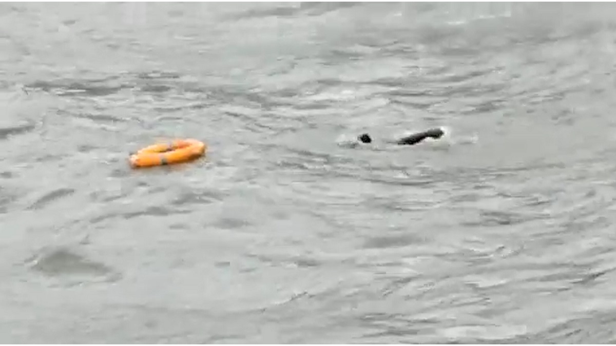 ট্রলারডুবে উত্তাল মেঘনায় ভাসতে থাকা ১৬ জেলে জীবিত উদ্ধার (ভিডিও)