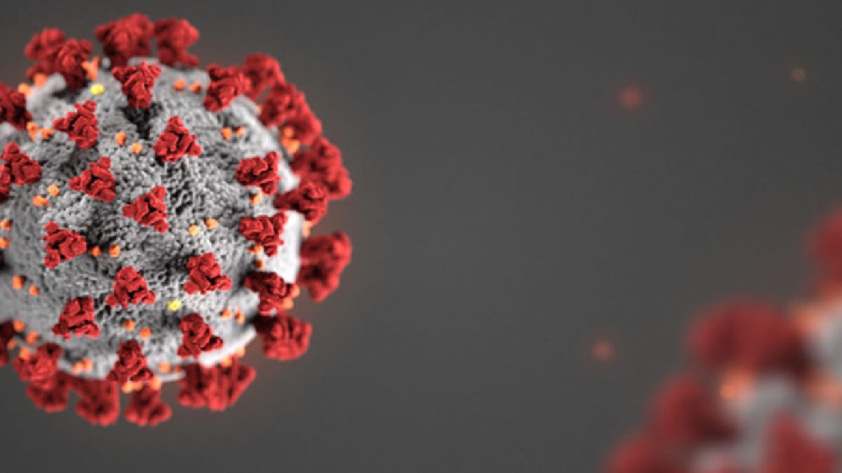 ২৪ ঘণ্টায় করোনা শনাক্ত ও মৃত্যুর শীর্ষে ঢাকা বিভাগ