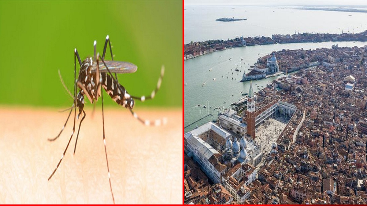 এশিয়ার পর ইউরোপেও ছড়িয়ে পড়ছে ডেঙ্গু