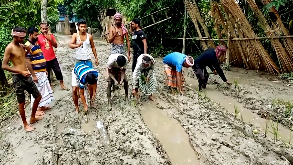 চলাচলের অযোগ্য রাস্তায় ধান রোপণ করে প্রতিবাদ