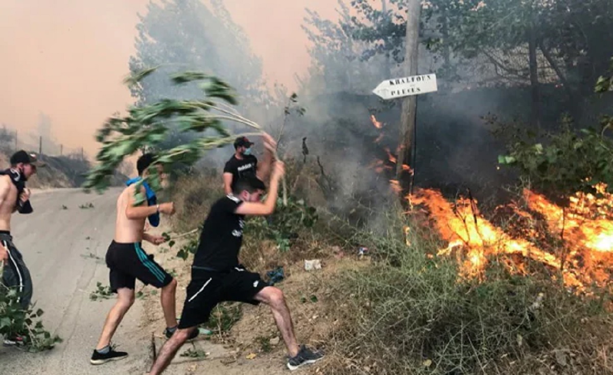 আলজেরিয়ায় দাবানল, ২৫ সেনাসহ নিহত ৪২