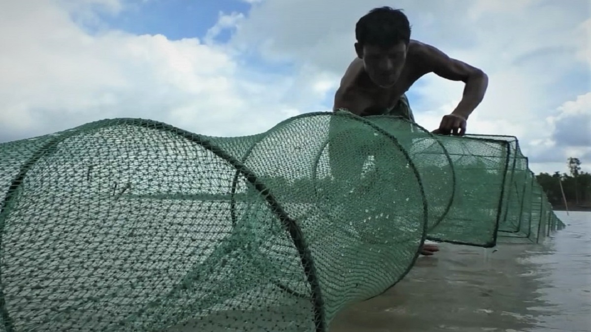 ব্রহ্মপুত্রে অবৈধ জাল দিয়ে মাছ নিধন, নির্বিকার প্রশাসন