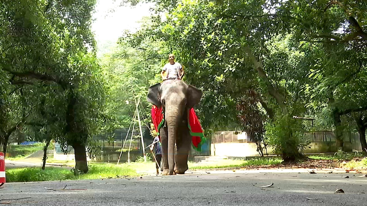 নির্জনতা ভাঙছে জাতীয় চিড়িয়াখানায়, আবারও চালুর প্রস্তুতি