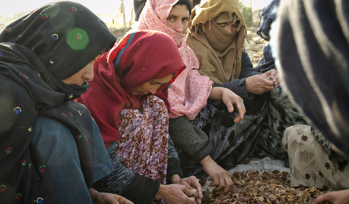 তালেবান ক্ষমতায় আসার পরই নানামুখী সংকটে আফগানিস্তান