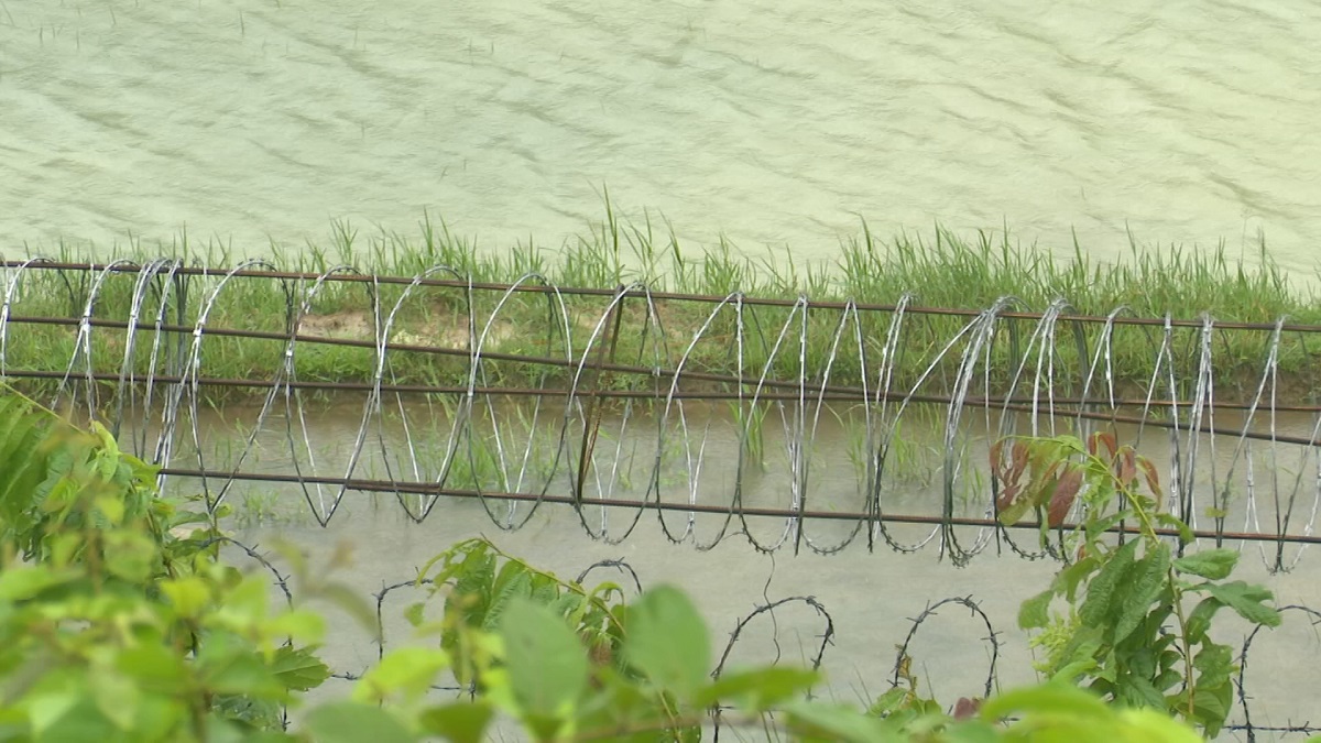 ইয়াবা পাচাররোধে আলোচনায় আগ্রহী নয় মিয়ানমার