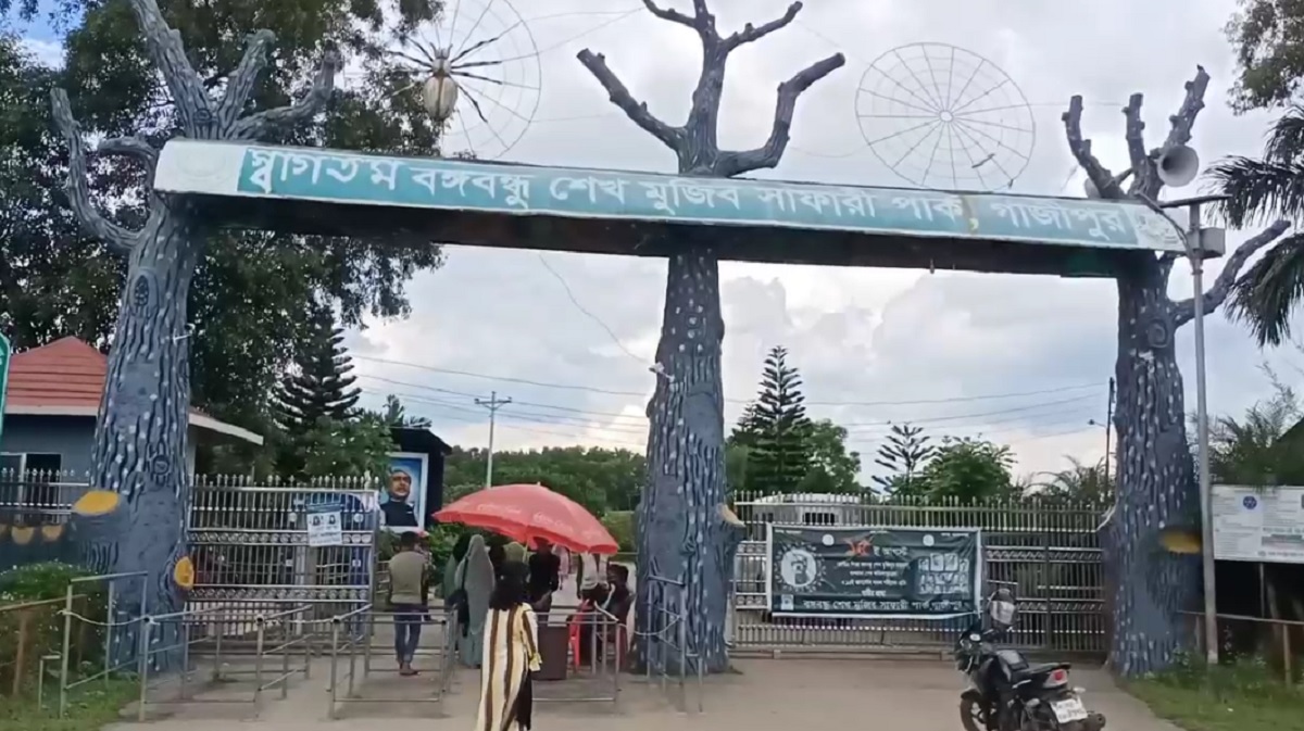 বঙ্গবন্ধু সাফারি পার্কে সাদা সিংহের মৃত্যু