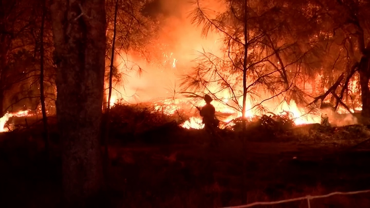 থামছেই না ক্যালিফোর্নিয়ার দাবানল
