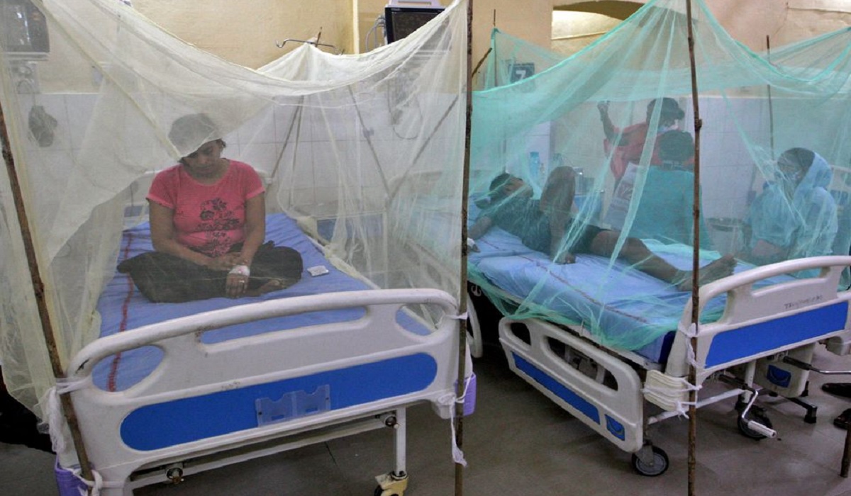 ডেঙ্গুতে বিপর্যস্ত ভারত, ১১৪ জনের মৃত্যু