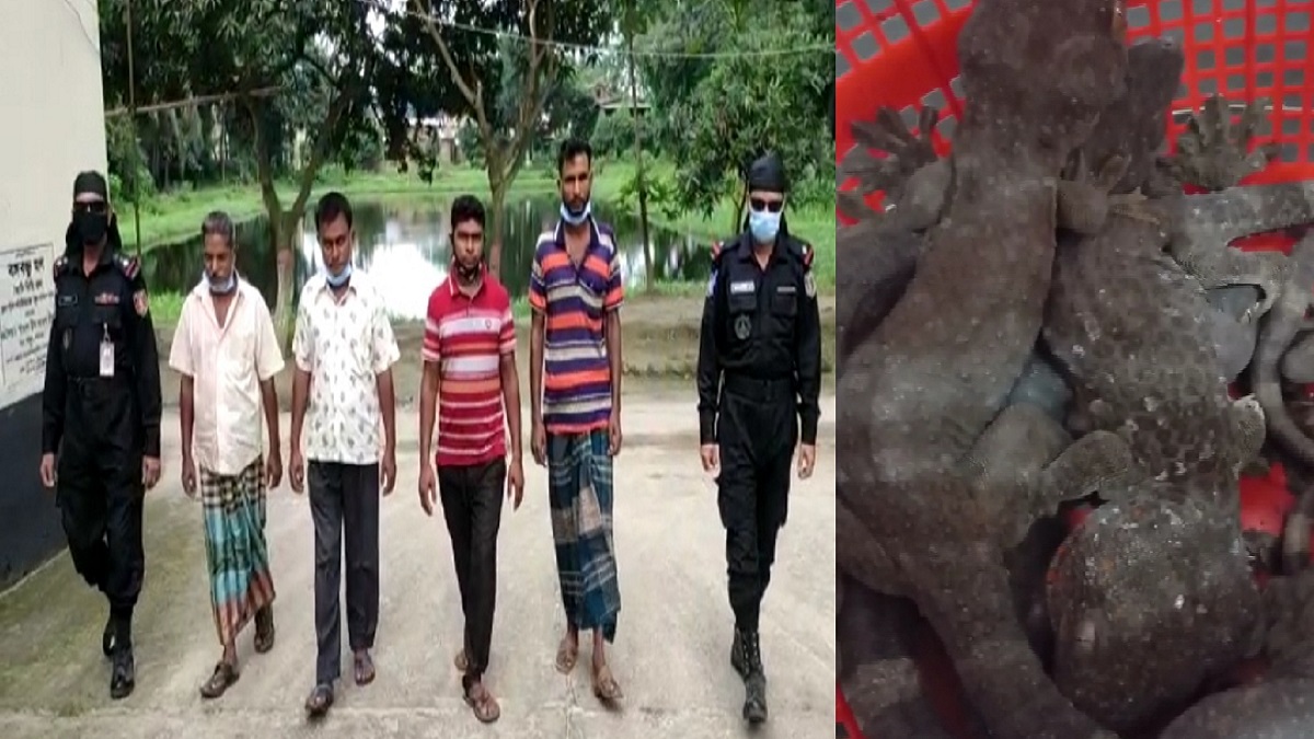 গাইবান্ধায় কোটি টাকা সমমূল্যের ৬টি তক্ষক উদ্ধার, আটক ৪