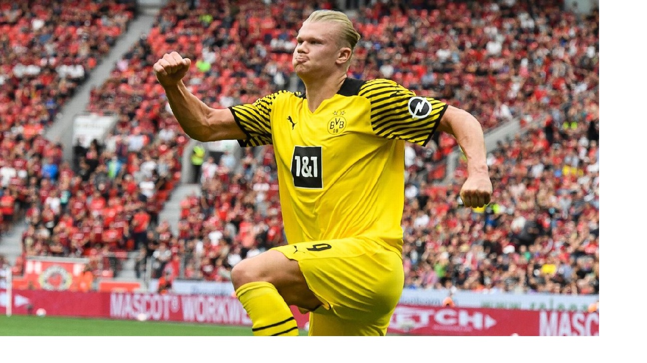 হল্যান্ড যেন গোলমেশিন