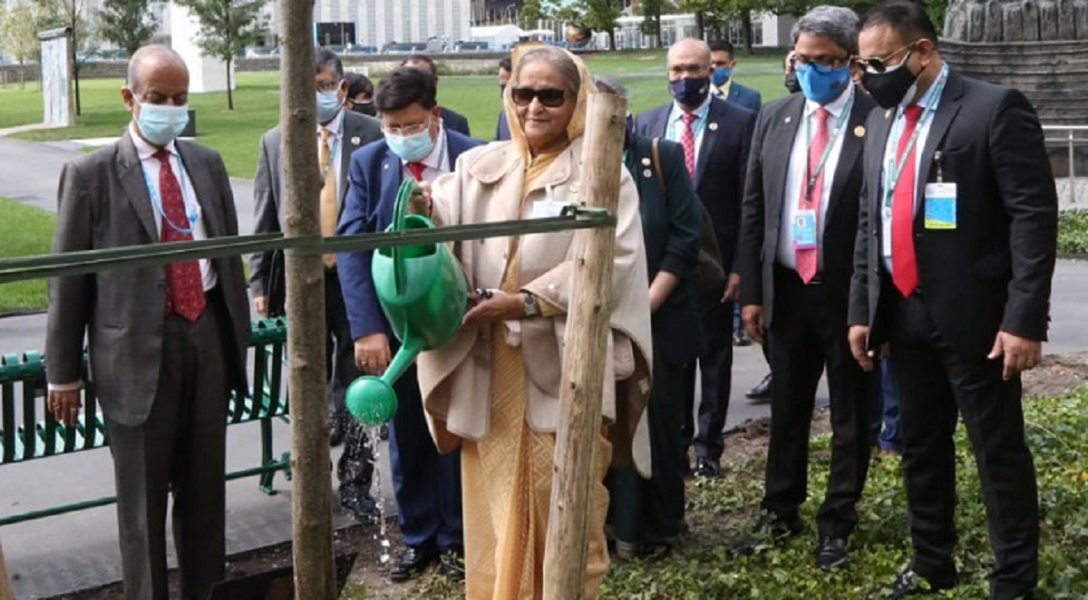 মুজিববর্ষ উপলক্ষে জাতিসংঘ সদর দফতরে প্রধানমন্ত্রীর বৃক্ষরোপণ
