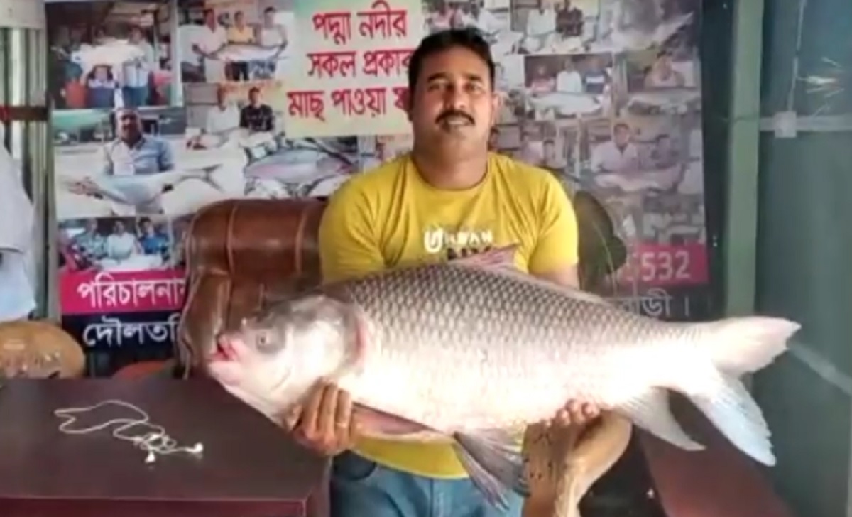 এক কাতলের দাম ২৩ হাজার ৭শ’