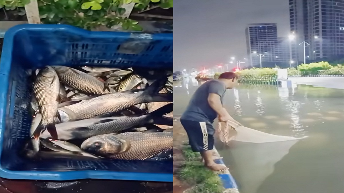 রাস্তার ওপর জাল ফেলে ১৫ কেজি মাছ শিকার (ভিডিও)