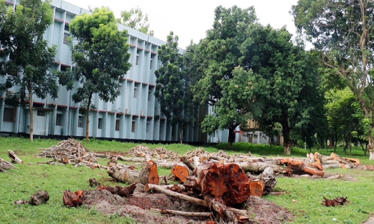 রুয়েটে প্রতিবাদের মুখে গাছ কাটা স্থগিত