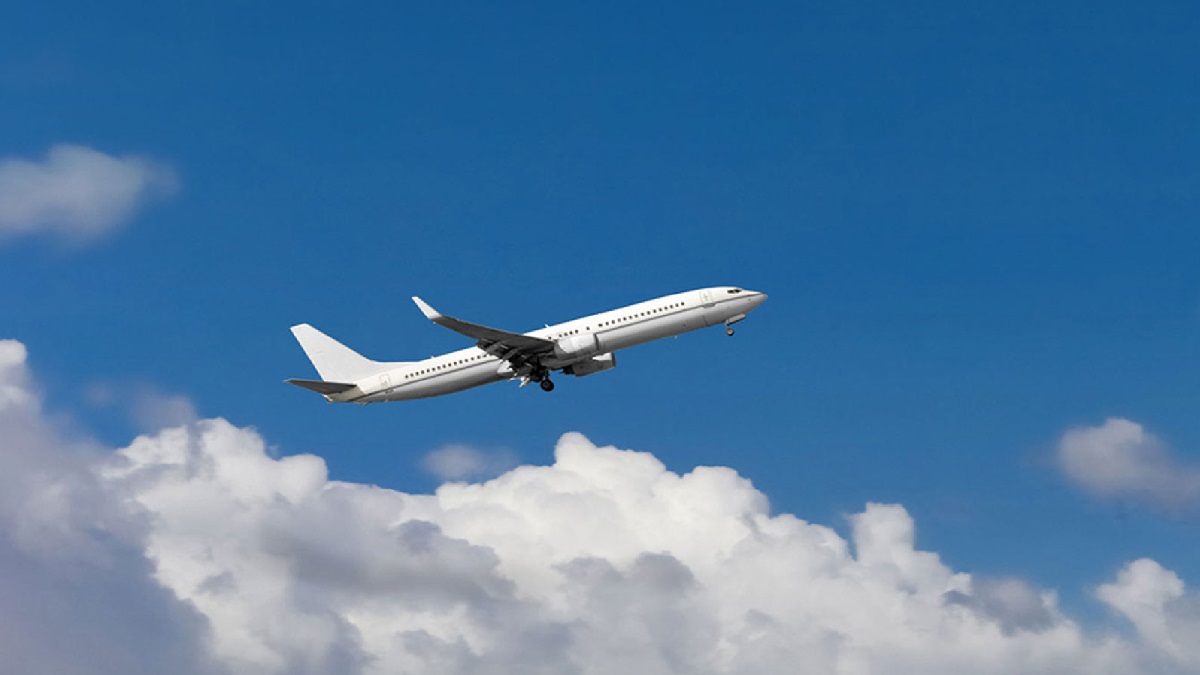 বাগানে বিশ্রামরত ব্যক্তির ওপর পড়লো বিমানের মানব বর্জ্য