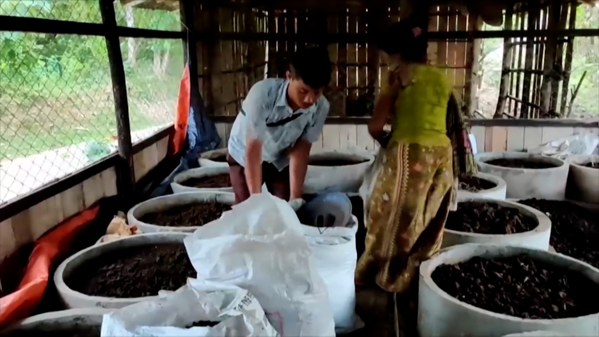 পাহাড়ের পতিত জমিতে চাষ হচ্ছে কাজু ও কফি