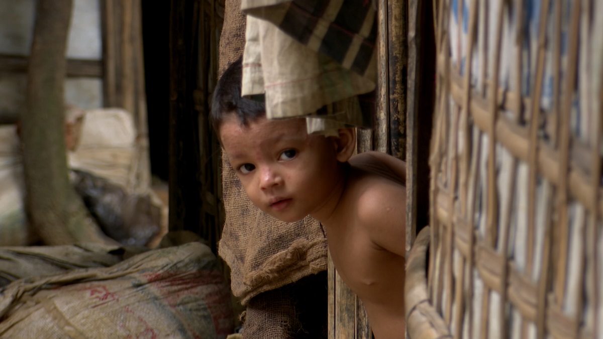 বাংলাদেশ নিয়ে যা বললেন জাতিসংঘ অভিবাসনের মিশন প্রধান