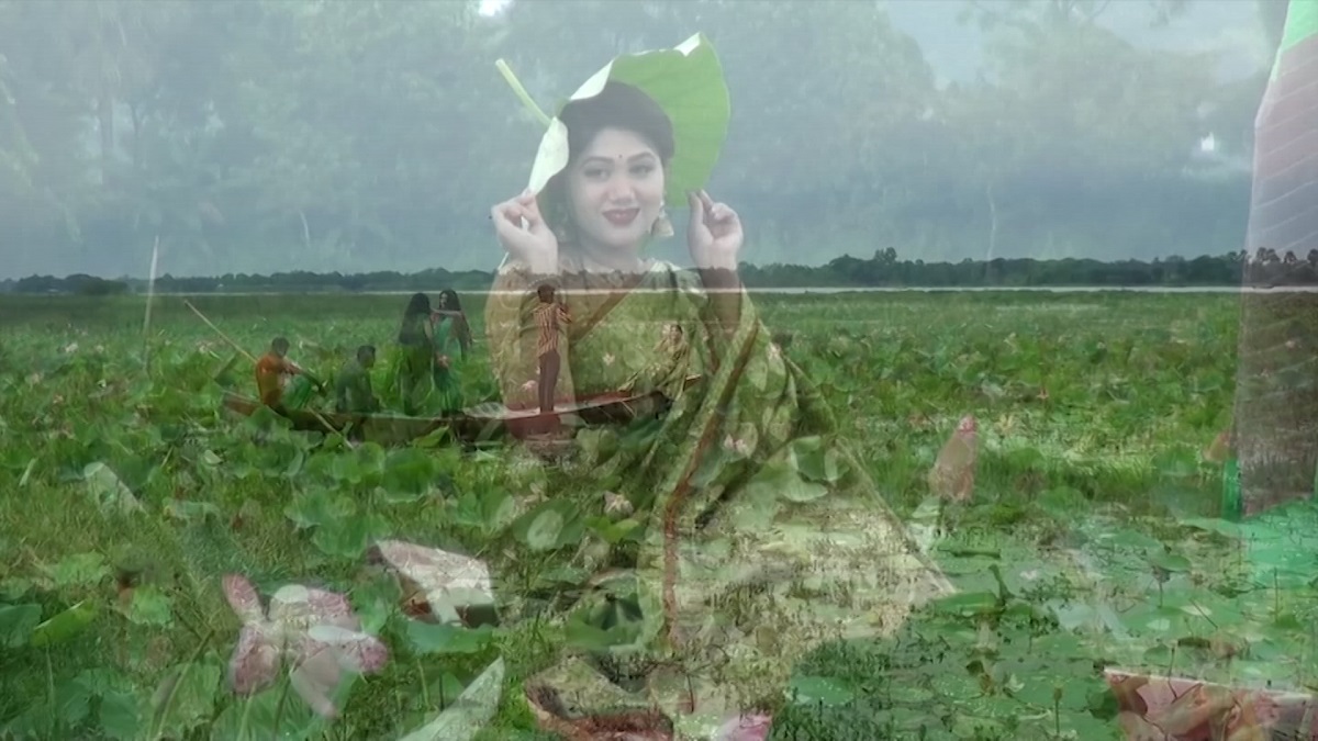 দেখুন স্বপ্নচিনাদী বিলের কিছু ছবি