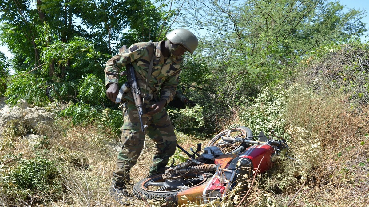 বন্দুকধারীদের হামলায় নিহত ২০ নাইজেরিয়ান