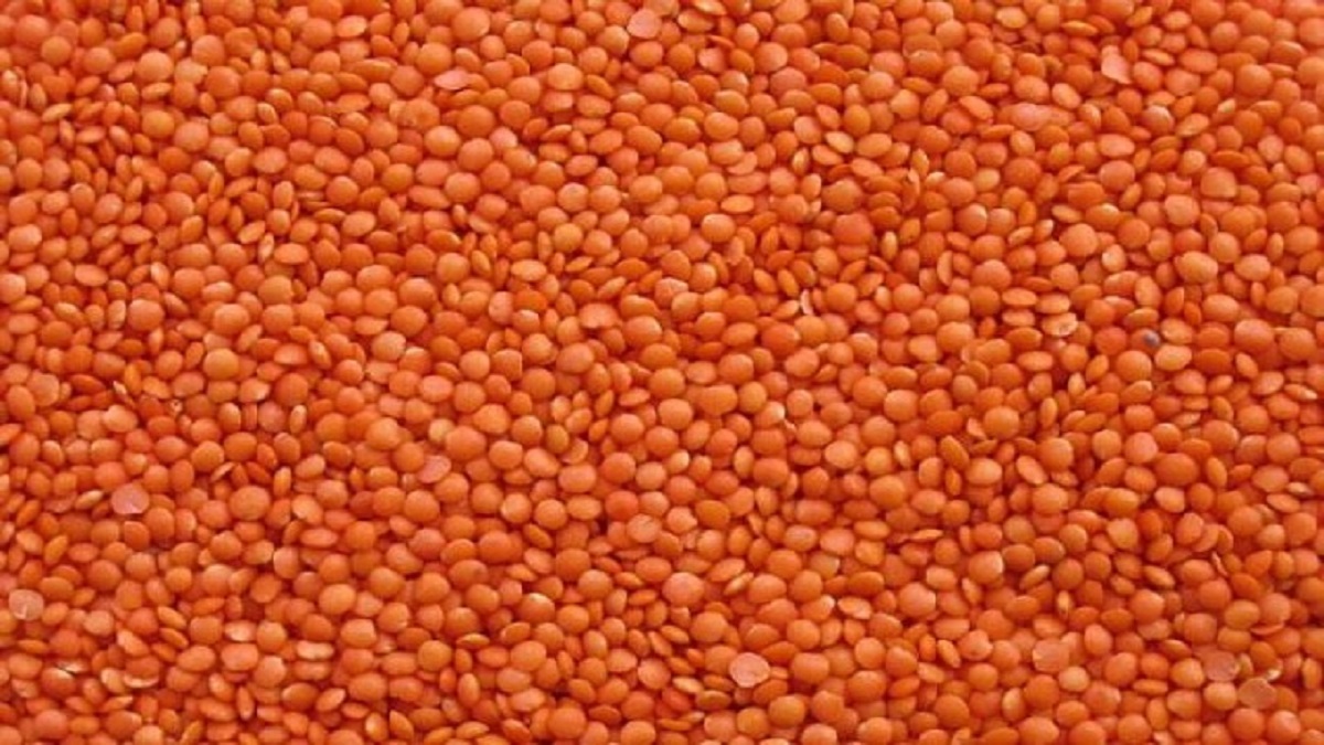 বাড়তি দামেই বিক্রি হচ্ছে মোটা মসুর ডাল