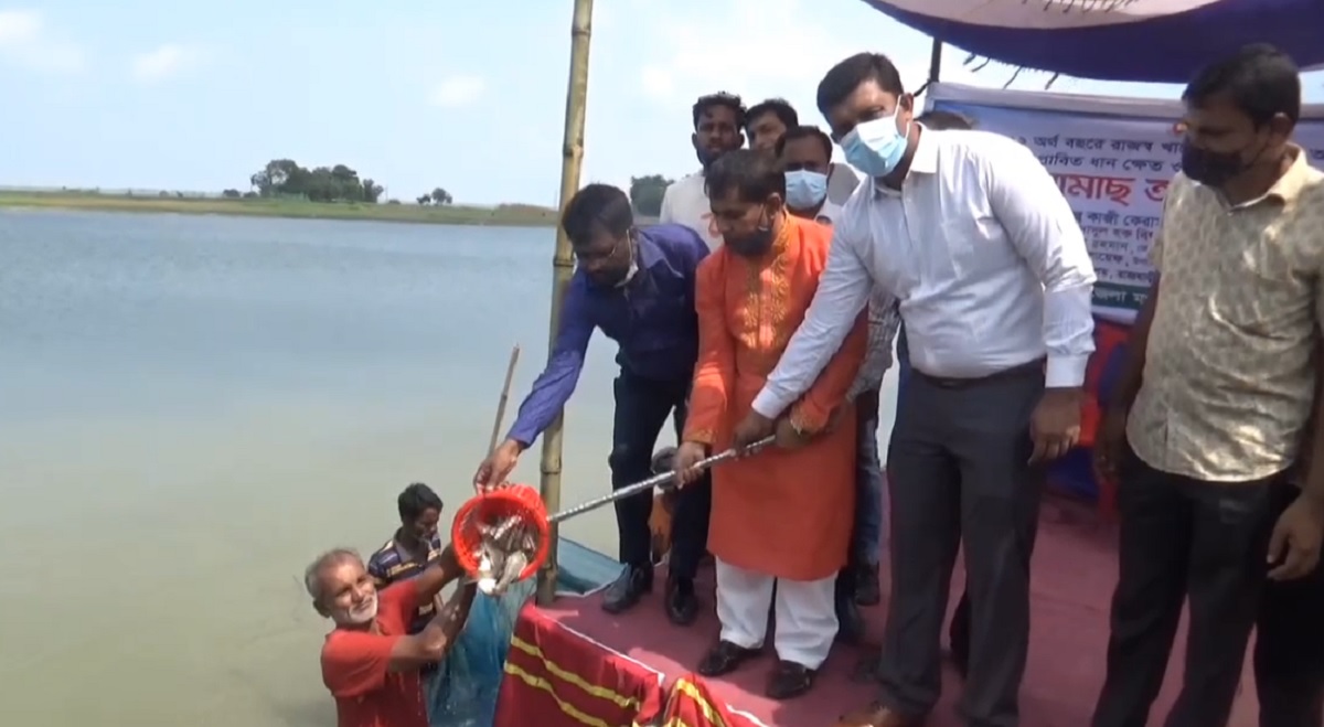 রাজবাড়ীতে বদ্ধ জলাশয়ে মাছের পোনা অবমুক্তকরণ