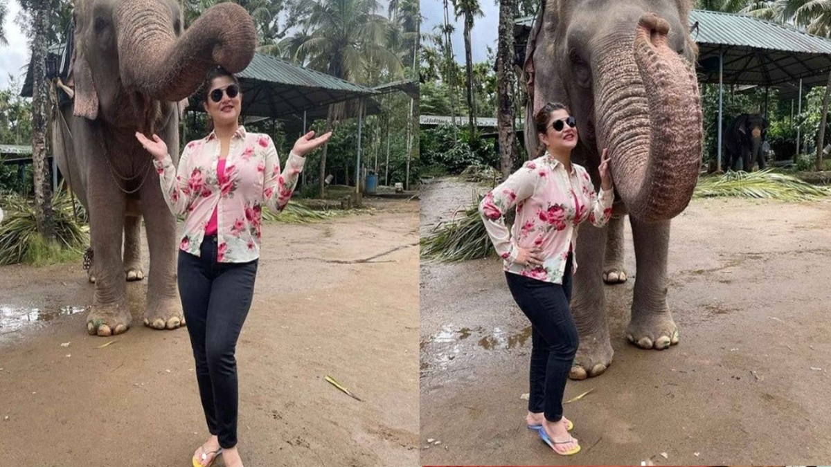 হাতির সাথে ছবি, ভক্ত বললেন দু’জনকে মানিয়েছে ভালো