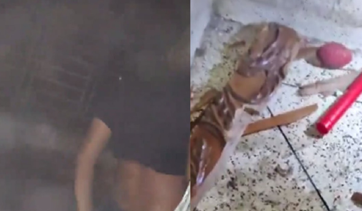 রাজধানীর তেজতুরি বাজারে বিস্ফোরণ, আহত ২