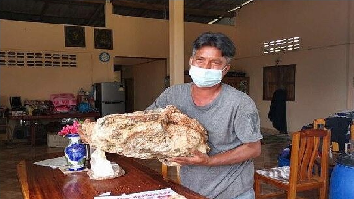 সমুদ্রে মাছ শিকারে গিয়ে পেলেন ৩০ কেজি স্বর্ণ, দাম ১১ কোটি টাকা