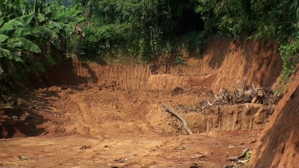 টাঙ্গাইলের লাল মাটিতে কালো থাবা