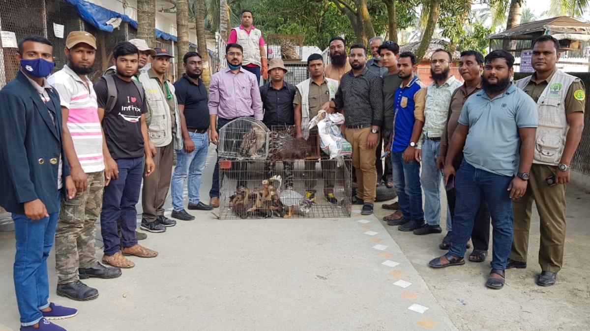 পিকনিক স্পটে বনবিভাগের অভিযান: বৈধ কাগজ না থাকায় কুমির-অজগরসহ ৫৯ প্রাণী জব্দ