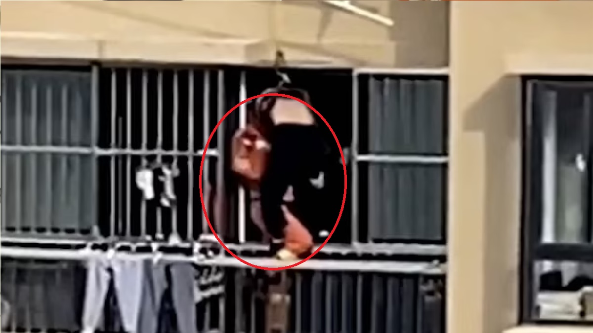 ১৯ তলা থেকে পড়েও বেঁচে গেলেন ৮২ বছরের বৃদ্ধা!