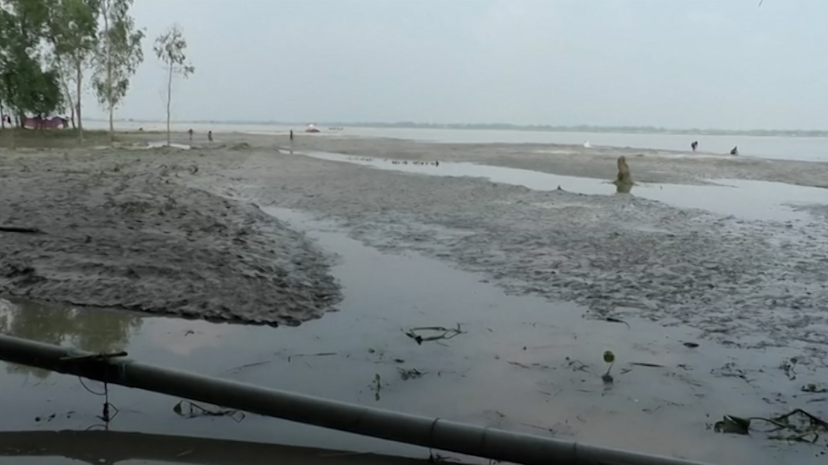 বালুচরে পরিণত হয়েছে তিন ফসলি জমি, দিশেহারা তিস্তাপাড়ের চাষিরা