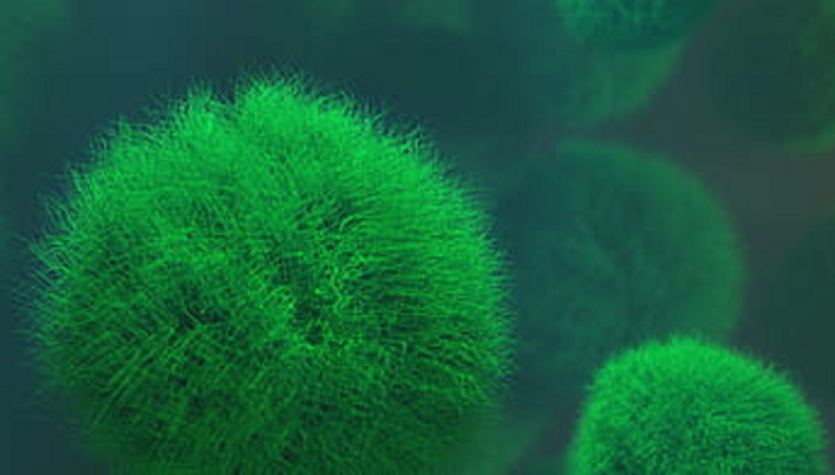 করোনার চেয়েও ভয়াবহ সংক্রমণ হতে পারে পৃথিবীর বাইরে থেকে আসা ভাইরাসে!