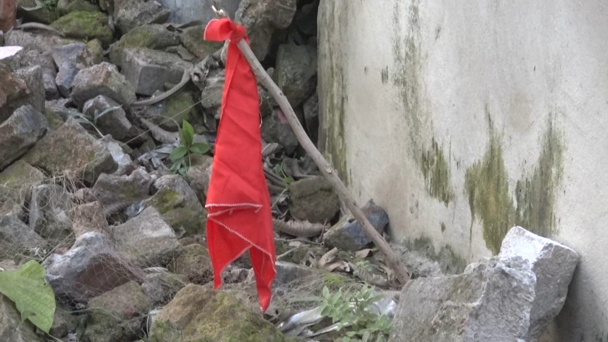 ব্রাহ্মণবাড়িয়ায় গোখরা সাপ আতঙ্ক; ছিটানো হচ্ছে ব্লিচিং পাউডার